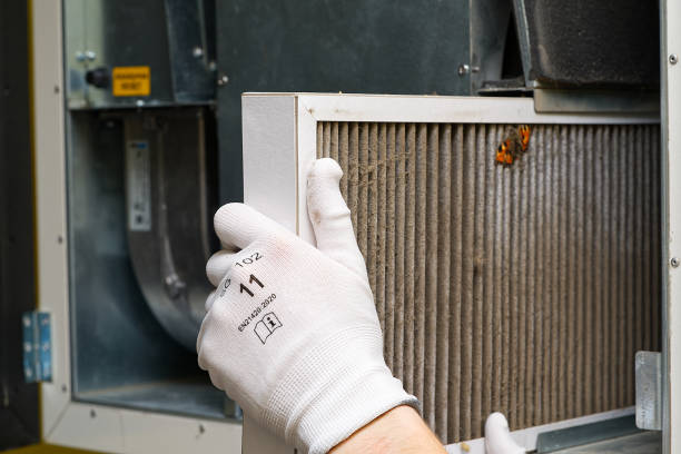Best Local Air Duct Cleaning Services  in Schulenburg, TX